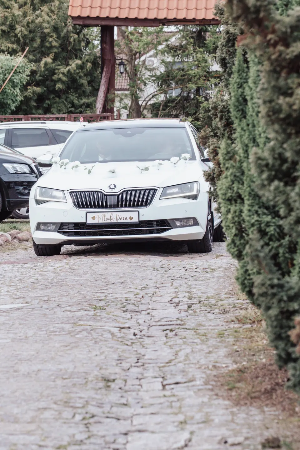 Katarzyna i Sebastian — reportaż i teledysk ślubny — zdjęcie 25 z 30